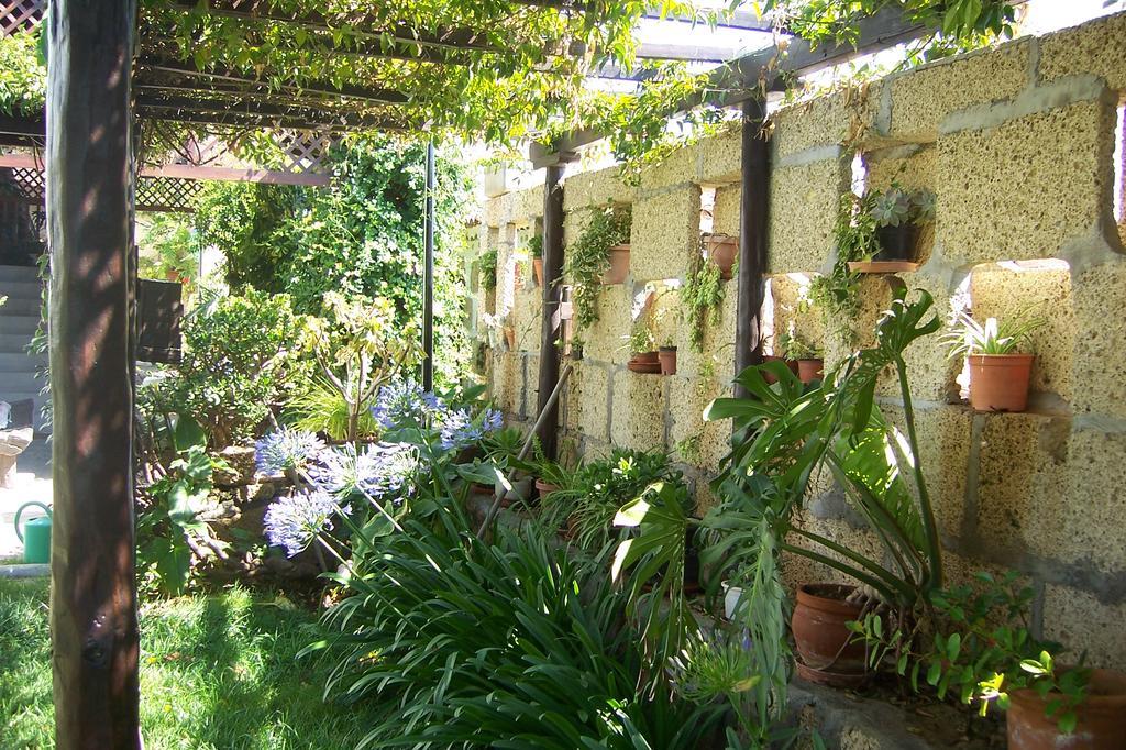 Casa Rural Anton Piche With Pool-Adults Only 그라나딜라데아보나 외부 사진