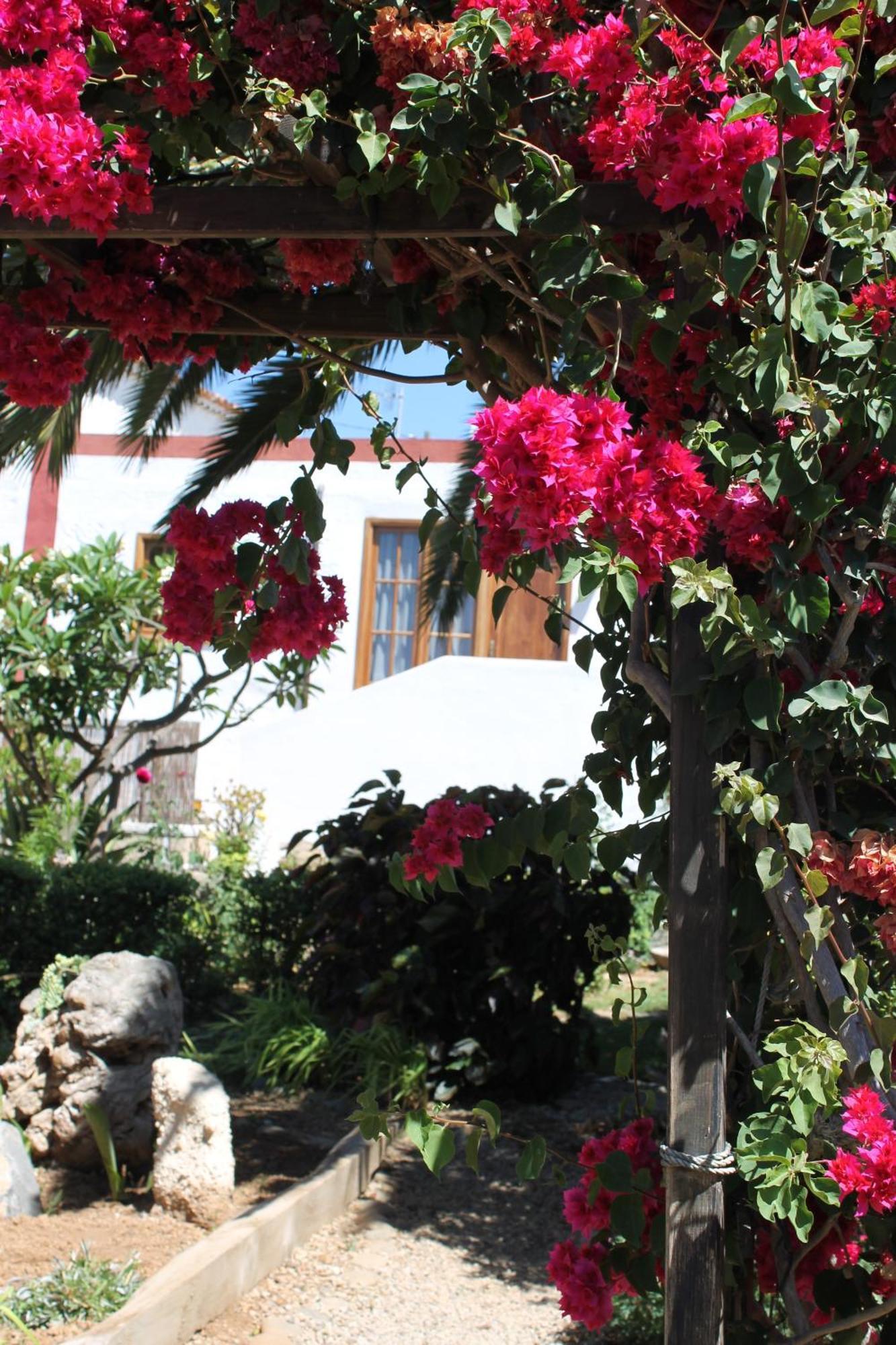 Casa Rural Anton Piche With Pool-Adults Only 그라나딜라데아보나 외부 사진