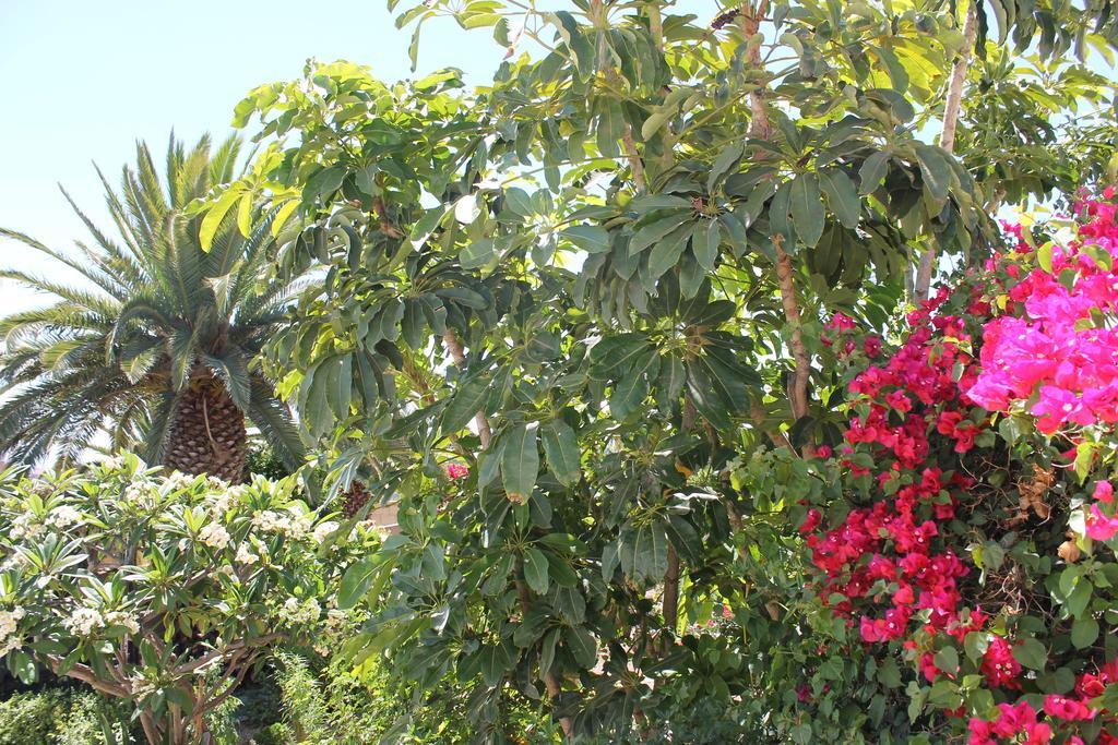 Casa Rural Anton Piche With Pool-Adults Only 그라나딜라데아보나 외부 사진