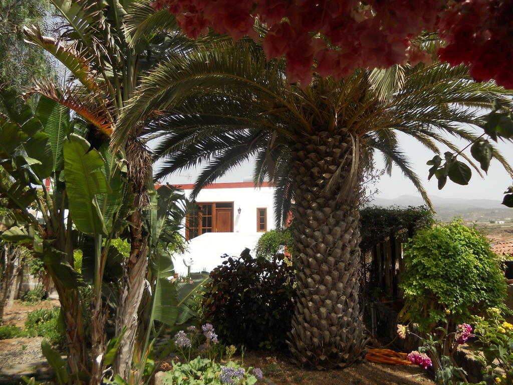 Casa Rural Anton Piche With Pool-Adults Only 그라나딜라데아보나 외부 사진
